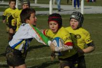 tournoi-arudi2013-036.jpg